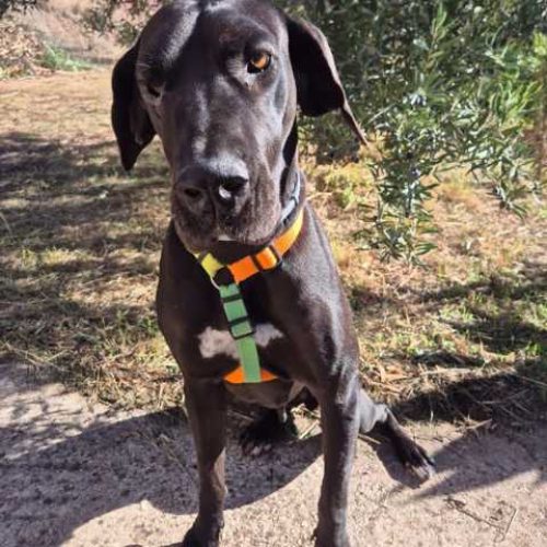 K640_PHOTO-2025-11-09-12-10-41