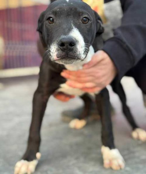 K640_PHOTO-2025-11-25-08-11-45