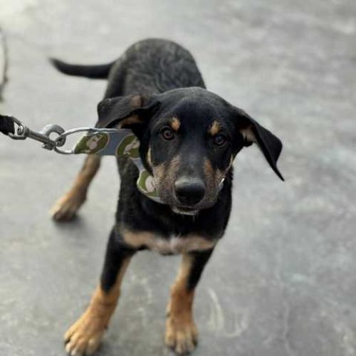 K640_PHOTO-2025-11-25-08-43-58