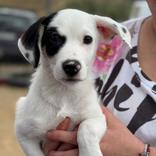 K640_PHOTO-2025-11-25-09-24-08(4)