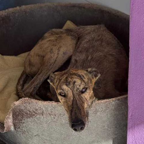 K640_PHOTO-2025-11-25-10-47-44