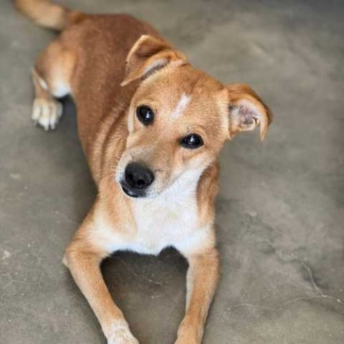 K640_PHOTO-2025-11-25-11-25-23