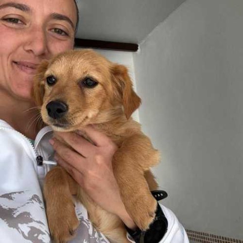 K640_PHOTO-2025-11-26-19-49-01(2)