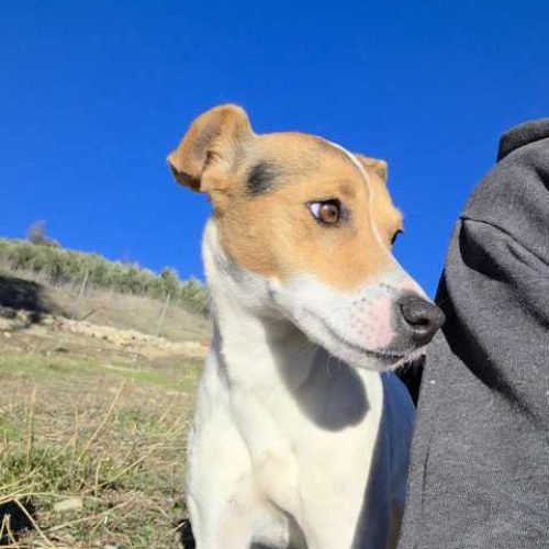 K640_PHOTO-2025-11-28-18-29-22