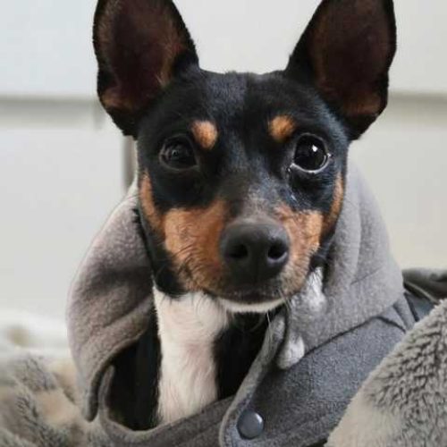 K640_PHOTO-2025-12-03-16-43-04