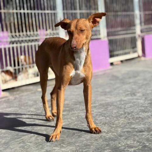 K640_PHOTO-2025-12-08-07-48-56