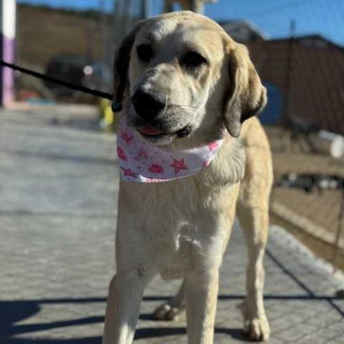 K640_PHOTO-2025-12-10-14-58-00