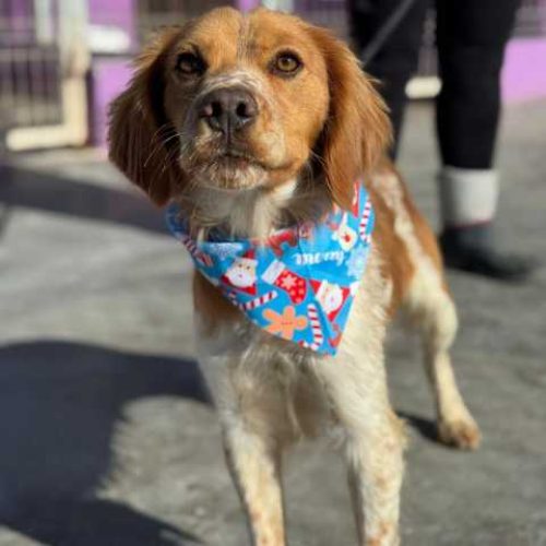 K640_PHOTO-2025-12-10-14-59-16(1)