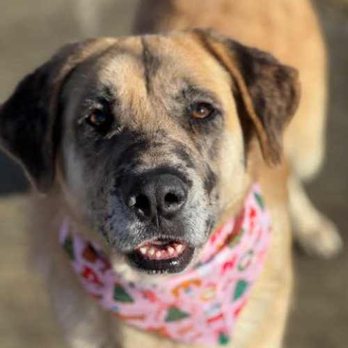 K640_PHOTO-2025-12-10-15-08-35(3)