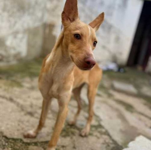 K640_PHOTO-2025-12-12-07-30-54(1)