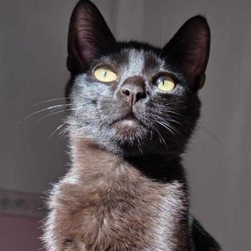 K640_PHOTO-2025-12-12-16-51-10(1)