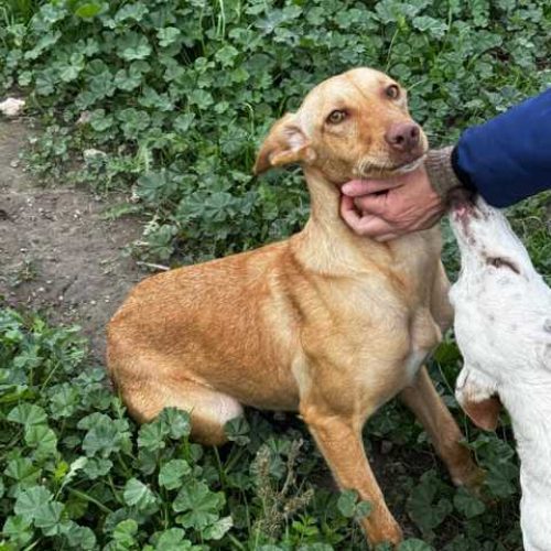 K640_PHOTO-2026-01-11-09-41-10