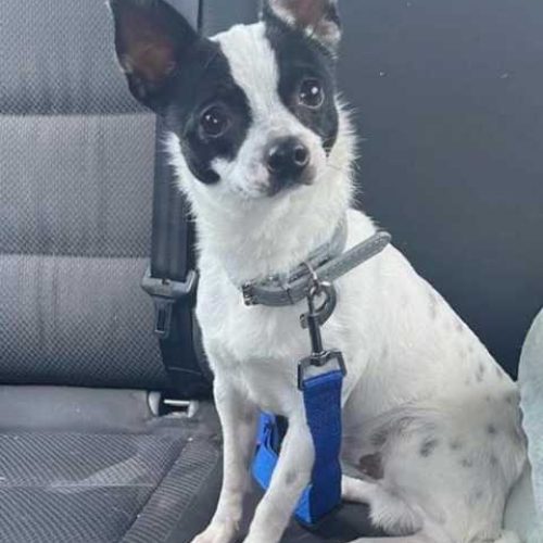 K640_PHOTO-2026-01-15-13-01-05