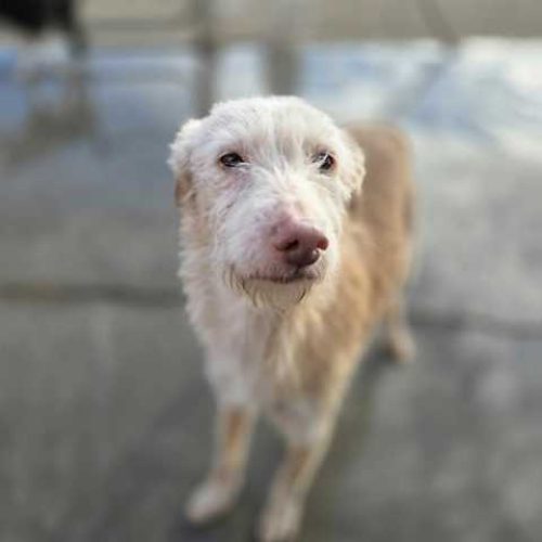 K640_PHOTO-2026-01-16-17-25-27