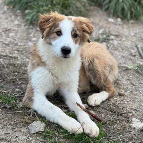 K640_PHOTO-2026-01-18-22-49-19