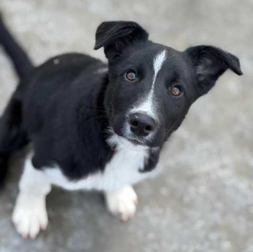 K640_PHOTO-2026-01-18-22-53-23