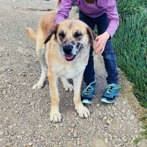 K640_Tana ausgeschnitten