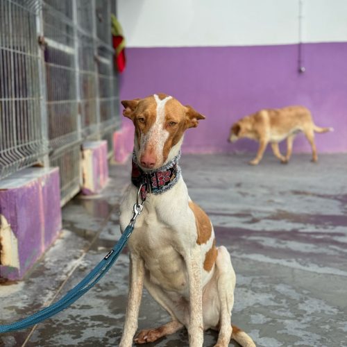 PHOTO-2025-03-23-18-47-23