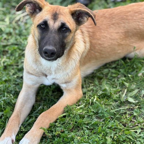 PHOTO-2025-04-13-11-34-21 PHOTO-2025-04-13-11-34-21