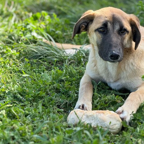 PHOTO-2025-04-13-11-36-57 PHOTO-2025-04-13-11-36-57