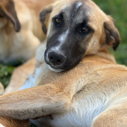 PHOTO-2025-04-13-11-37-52 PHOTO-2025-04-13-11-37-52